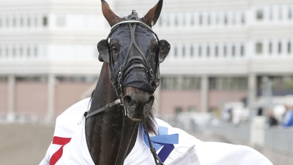 Foto: JEANNIE KARLSSON/TR BILD