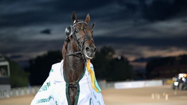 Foto: LARS JAKOBSSON / TR BILD