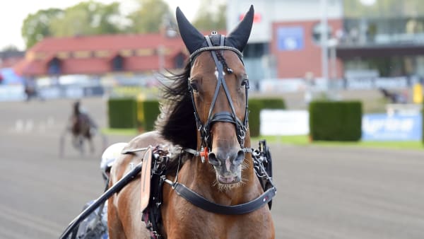 Foto: LARS JAKOBSSON / TR BILD