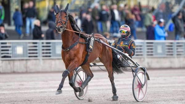 Foto: THOMAS BLOMQVIST / TR BILD