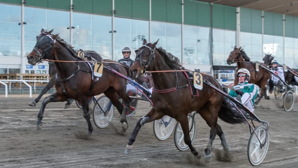 Foto: MIKAEL ROSENQUIST / TR BILD