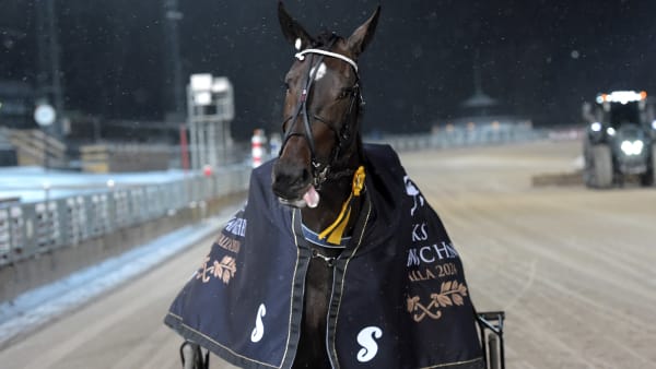 Foto: LARS JAKOBSSON / TR BILD