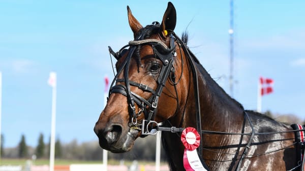 Foto: MALIN ALBINSSON / TR BILD