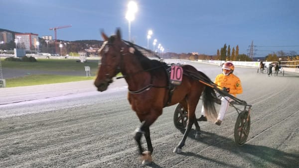 Foto: LUCAS ERICSSON/TR BILD