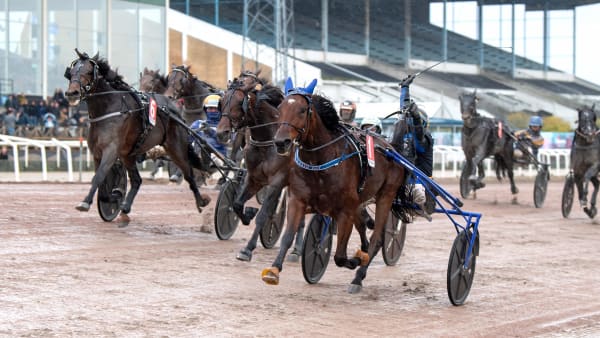 Foto: MIKAEL ROSENQUIST / TR BILD