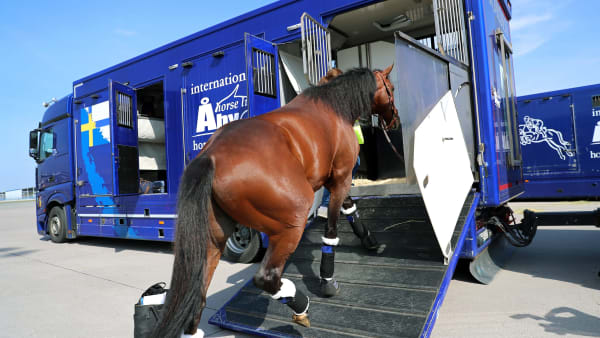 Foto: MARIA HOLMÉN/TR BILD