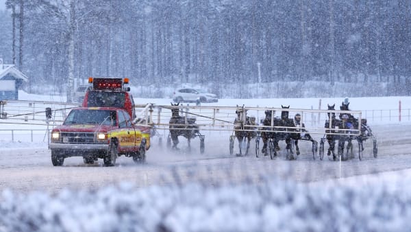 Foto: MARIA HOLMÉN/ TR BILD