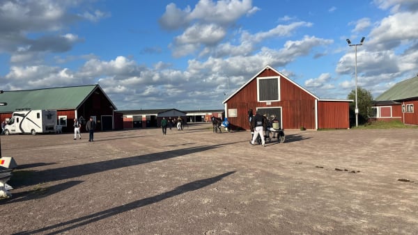 Foto: Mattias Holmgren/TR Bild.