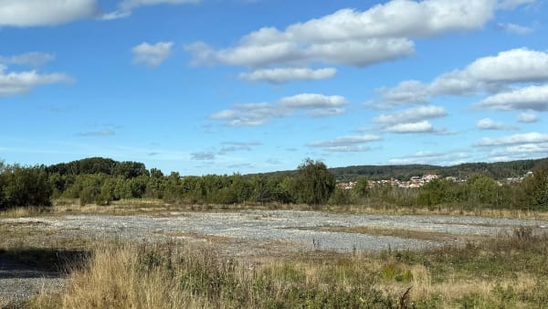 Foto: Rickard Hansson/TR Bild