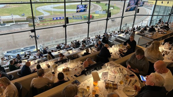 Foto: Johan Bergman/TR Bild