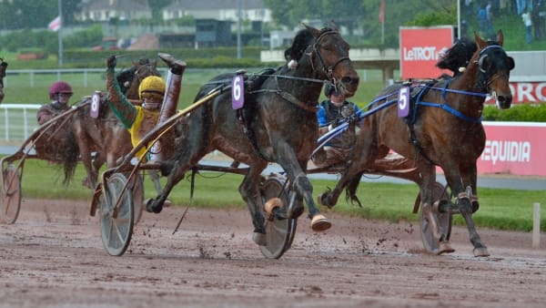 Foto: LE TROT