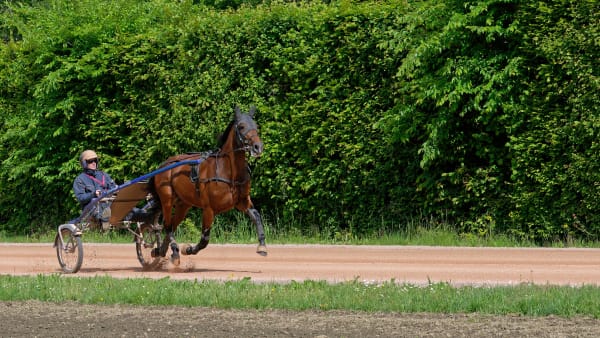 Foto: JEAN-LUC LAMAÈRE