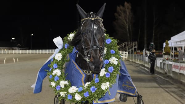 Foto: LARS JAKOBSSON / TR BILD