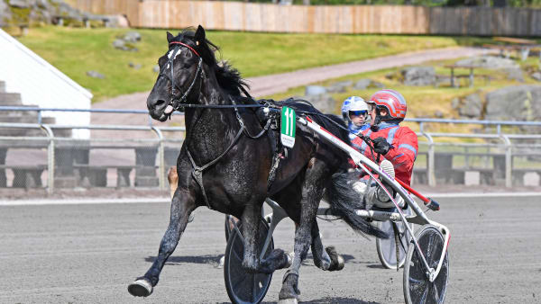 Foto: MALIN ALBINSSON / TR BILD