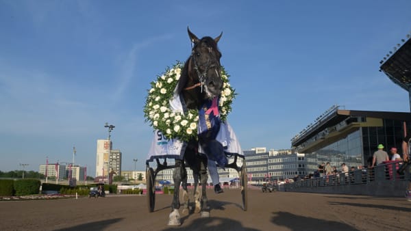 Foto: LARS JAKOBSSON / TR BILD