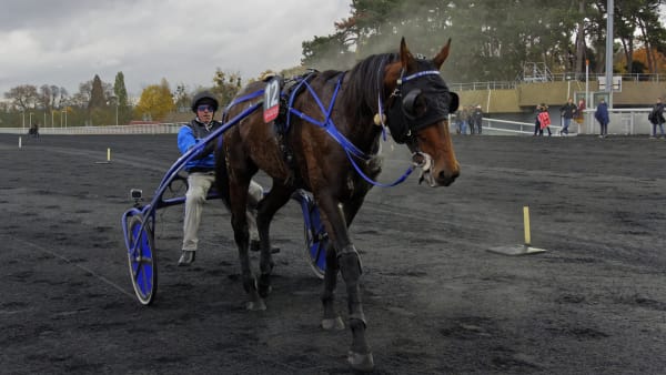 Foto: Jean-Luc Lamaère | Le Trot