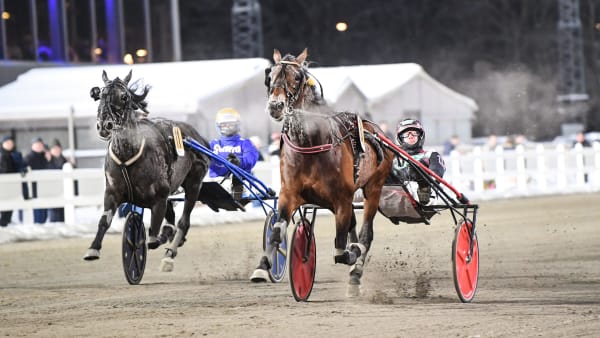 Foto: MALIN ALBINSSON / TR BILD