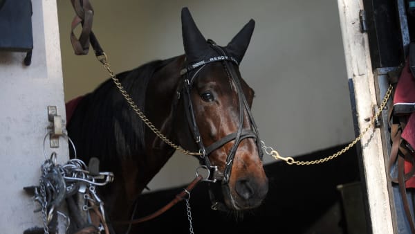 Foto: LARS JAKOBSSON / TR BILD