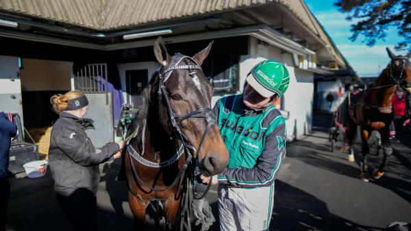 Foto: THOMAS BLOMQVIST / TR BILD