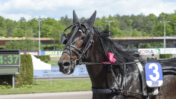 Foto: LARS JAKOBSSON / TR BILD