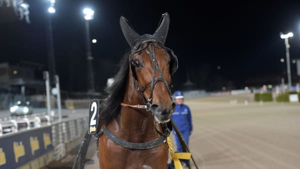 Foto: LARS JAKOBSSON / TR BILD