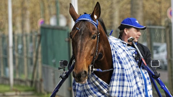 Foto:  JEAN-LUC LAMAÈRE/LE TROT