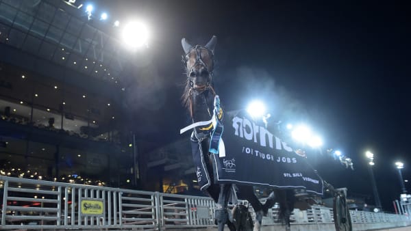 Foto: LARS JAKOBSSON / TR BILD