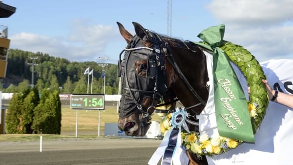 Foto: LARS JAKOBSSON / TR BILD