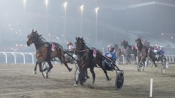 Foto: MIKAEL ROSENQUIST / TR BILD