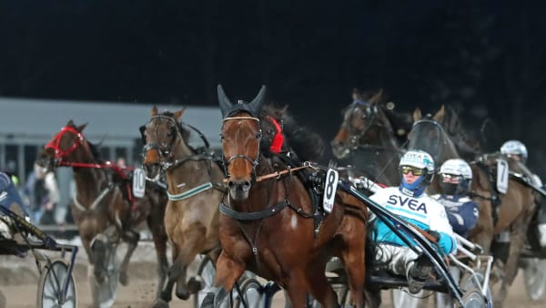 Foto: MARIA HOLMÉN / TR BILD