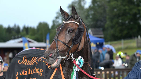 Foto: LARS JAKOBSSON / TR BILD