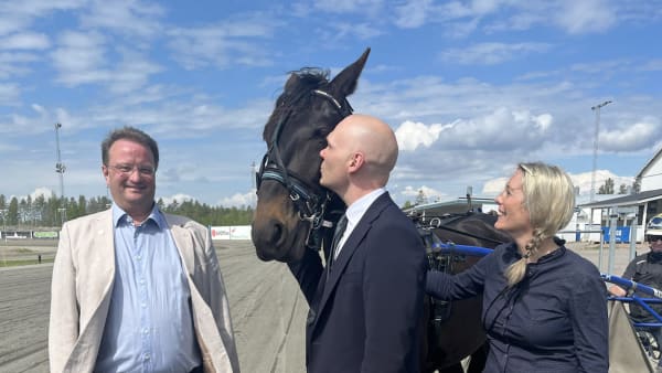 Foto: Bollnästravet