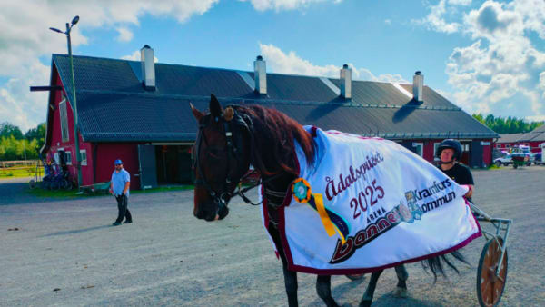 Foto: Lucas Eriksson / TR Media