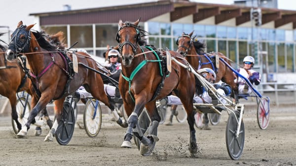 Foto: MALIN ALBINSSON / TR BILD