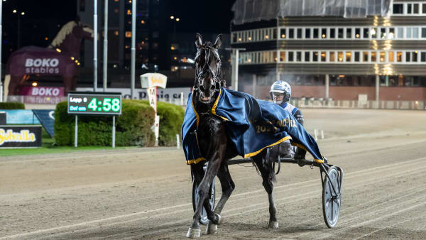 Foto: LENA EMMOTH / TR BILD