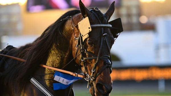 Foto: MALIN ALBINSSON / TR BILD