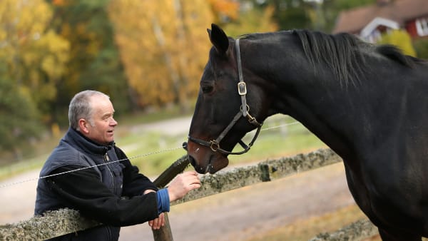 Foto: MARIA HOLMÉN / TR BILD