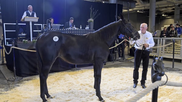 Foto: LARS JAKOBSSON / TR BILD