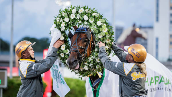 Foto: LENA EMMOTH / TR BILD