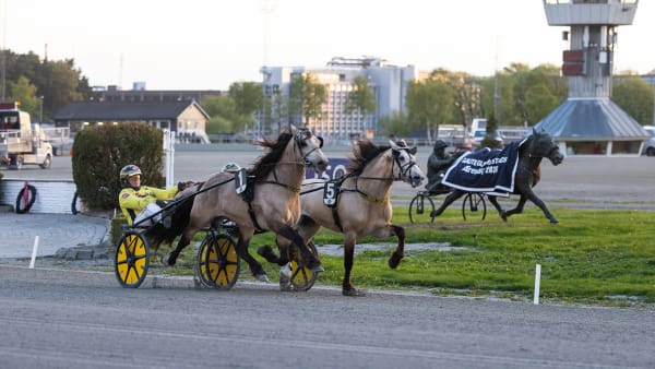 Foto: TROND PEDERSEN/HESTEGUIDEN