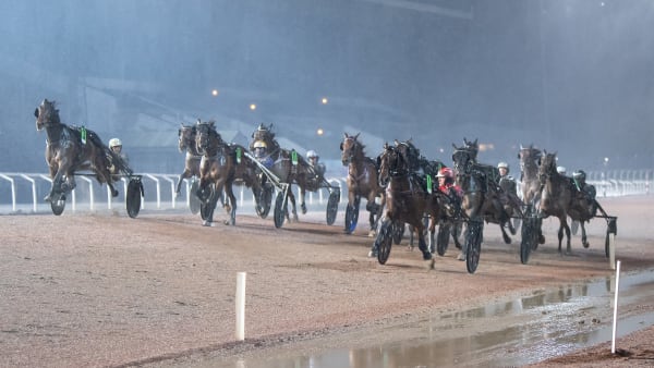 Foto: MIKAEL ROSENQUIST / TR BILD