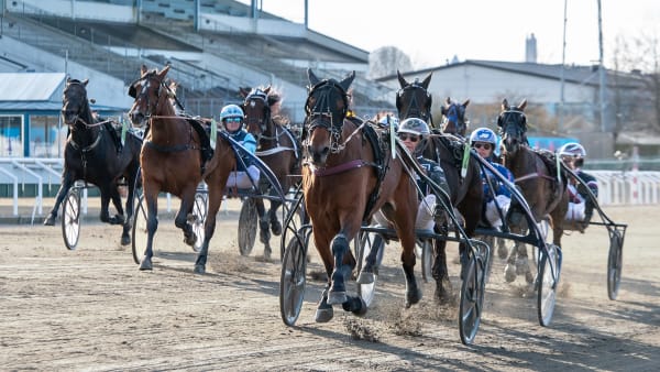 Foto: MIKAEL ROSENQUIST / TR BILD