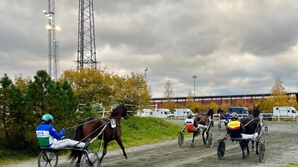 Foto: Mattias Holmgren/TR Bild.