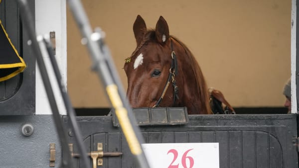 Foto: THOMAS BLOMQVIST / TR BILD