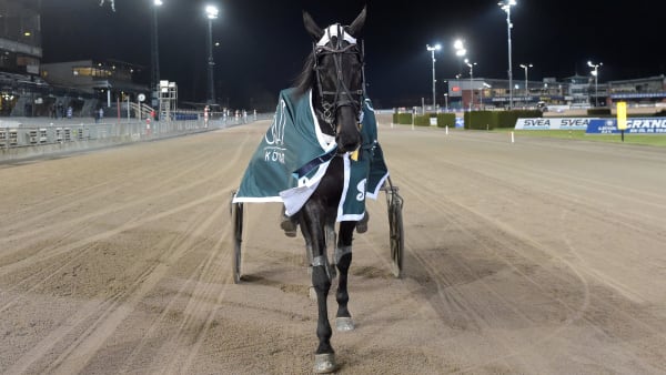 Foto: LARS JAKOBSSON / TR BILD