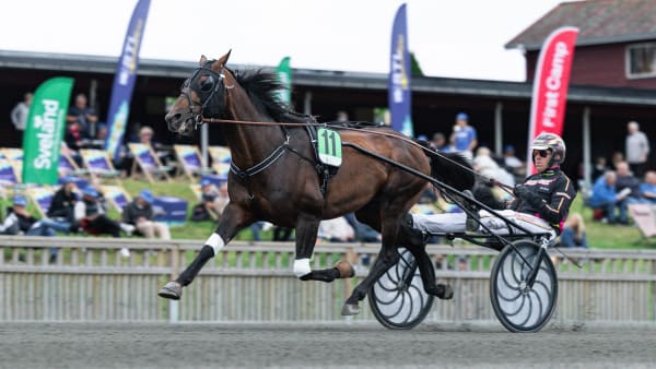 Foto: LENA EMMOTH / TR BILD