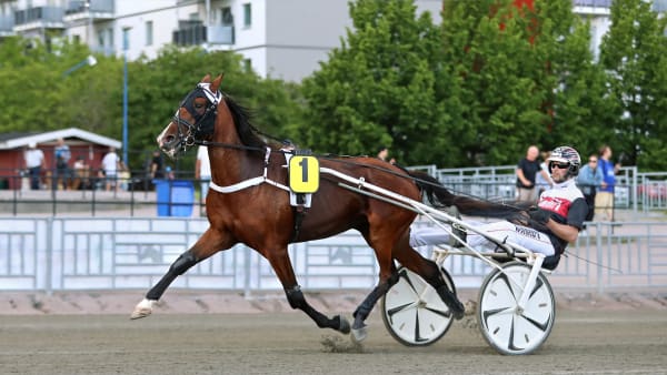 Foto: MARIA HOLMÉN / TR BILD