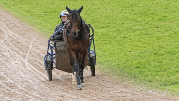 Foto: JEAN-LUC LAMAÈRE/TR BILD