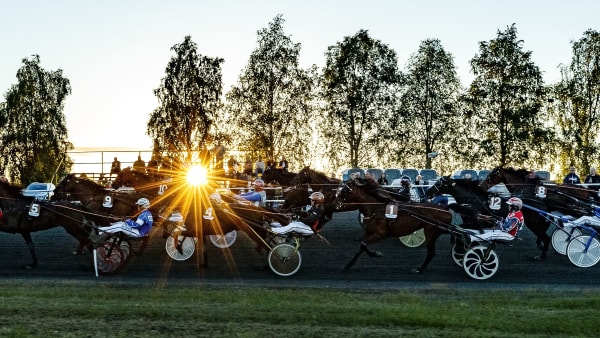 Foto: MATS ENGFORS / FOTOGRAPHIC