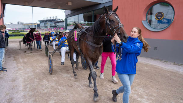 Foto: THOMAS BLOMQVIST / TR BILD